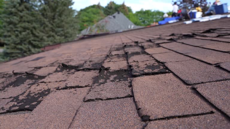 Fast & Reliable Emergency Roof Repairs in Ortonville, MN